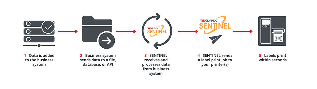 SENTINEL print automation process diagram with API